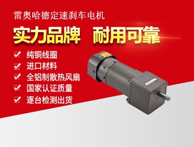 雷奧哈德定速剎車(chē)電機(jī)