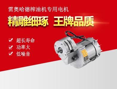雷奧哈德榨油機(jī)專(zhuān)用電機(jī)